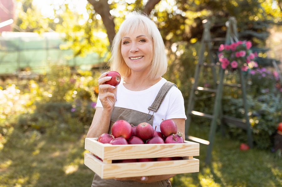 Healthy Food Good For Teeth